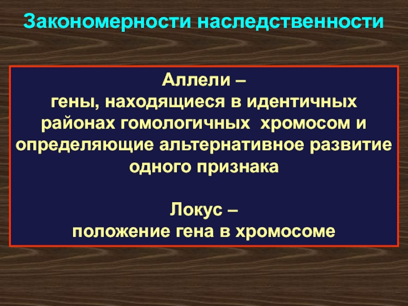 Гены расположенные в идентичных. Закономерности наследственности у человека. Современное положение Гена..