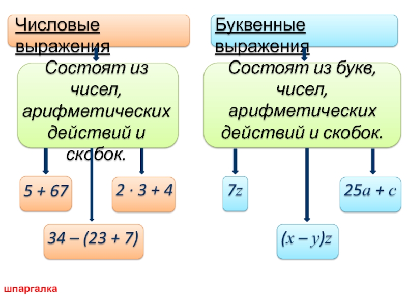 Действие в числовых выражениях