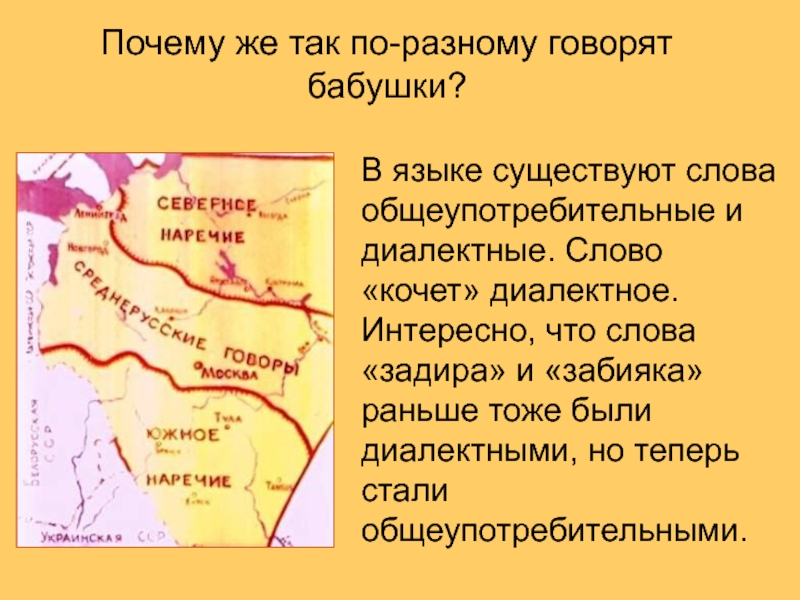 Почему 8. Говор в разных областях. Диалектизмы Самарской области. Диалект слова говорить. Кочет диалект.