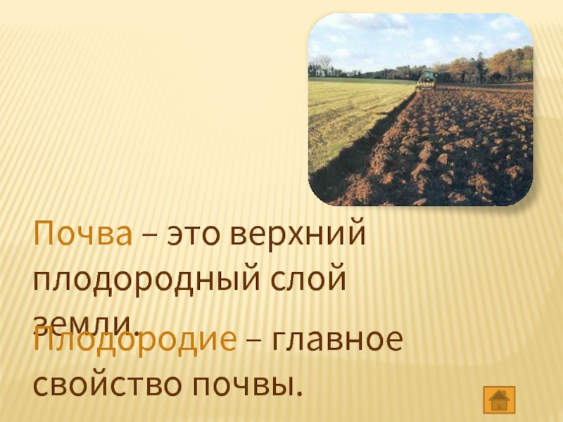 Почва – это верхний плодородный слой земли.Плодородие – главное свойство почвы.