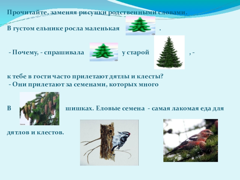 Если в качестве образца задать слово ель в процессе автоматического поиска в тексте