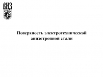 Поверхность электротехнической анизотропной стали