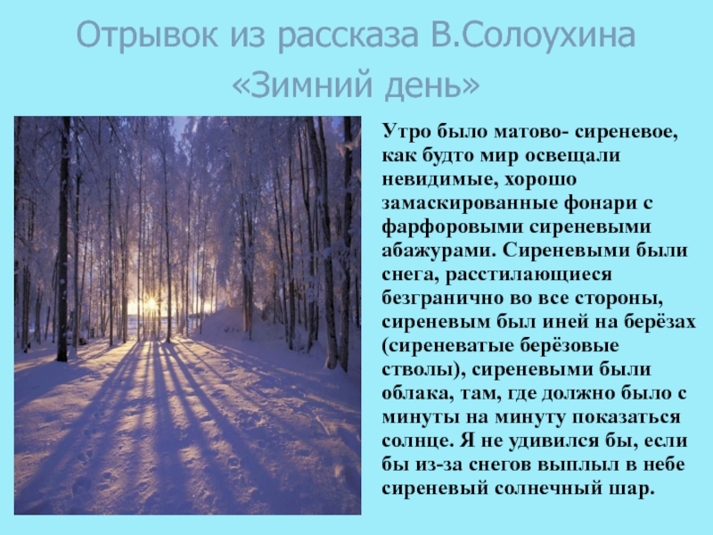 Отрывок из рассказа В.Солоухина «Зимний день» Утро было матово- сиреневое, как будто мир освещали невидимые, хорошо замаскированные