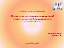 Организация экспериментальной деятельности дошкольников