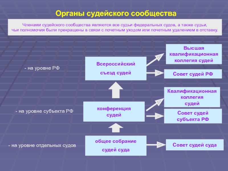 Организация деятельности мировых судей вопросы теории и практики презентация