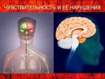 ЧУВСТВИТЕЛЬНОСТЬ И ЕЕ НАРУШЕНИЯ 