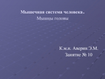 Мышечная система человека. Мышцы головы
