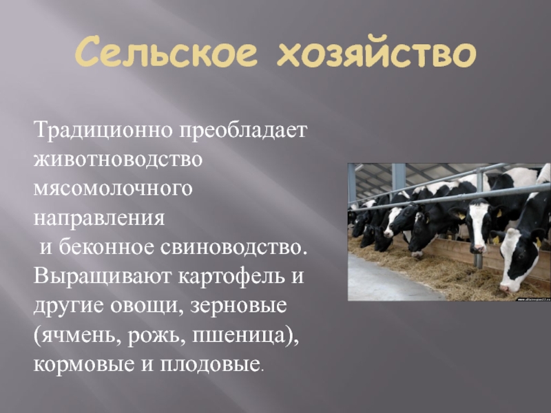 Перспективы сельского хозяйства. Перспективы животноводства. Направления сельского хозяйства. План развития сельского хозяйства. Направления развития животноводства.