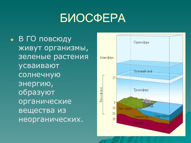 Географическая оболочка биосферы. Биосфера. Оболочки биосферы. Биосфера географическая оболочка. Атмосфера литосфера гидросфера Биосфера Тропосфера стратосфера.