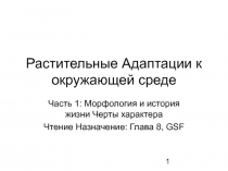 Растительные Адаптации к окружающей среде