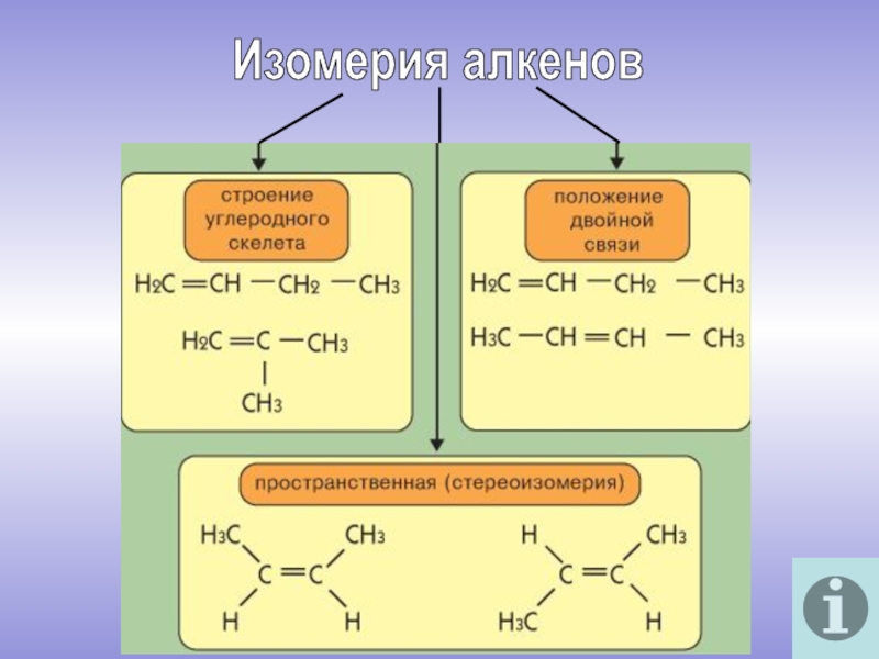 Изомером углеводорода является. Изомерия углеродного скелета алкенов 10 класс. Изомерия и номенклатура алкенов кратко. Изомеры этиленовых углеводородов. Органическая химия изомеры алкенов.