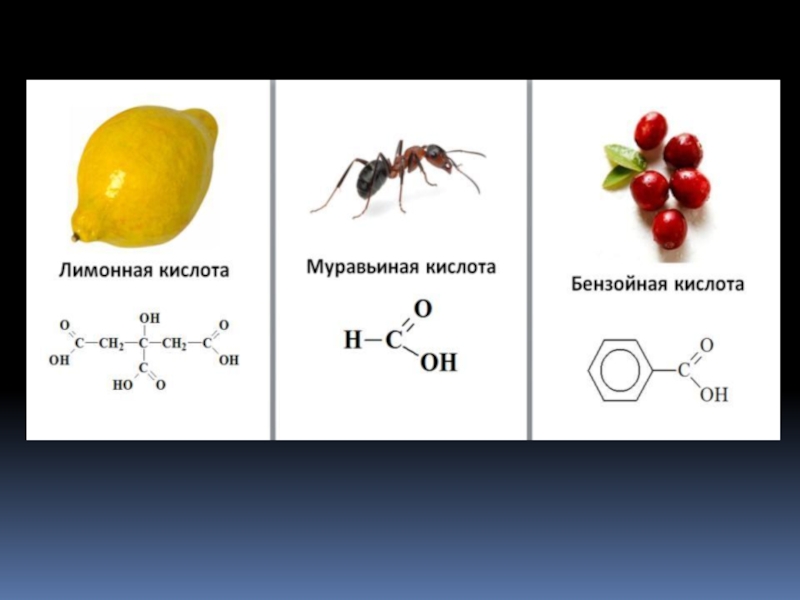 Проект карбоновые кислоты