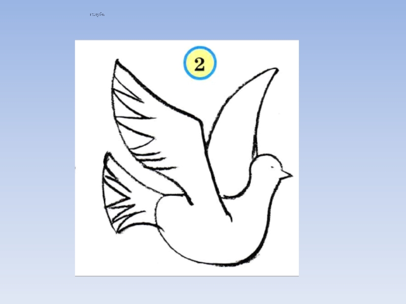 Рисунок птицы 5 класс. Презентация рисование птиц. Изо 2 класс птицы. Птица изо 4 класс.