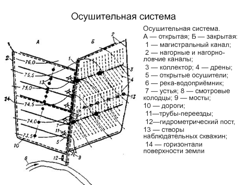 Элементы осушительной сети и их размещение на плане землепользования