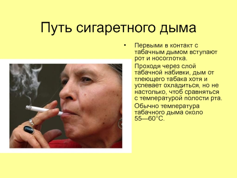 Запах сигарет в носу. Дым через нос. Сигаретный дым через нос. Выдыхание сигаретного дыма через нос.