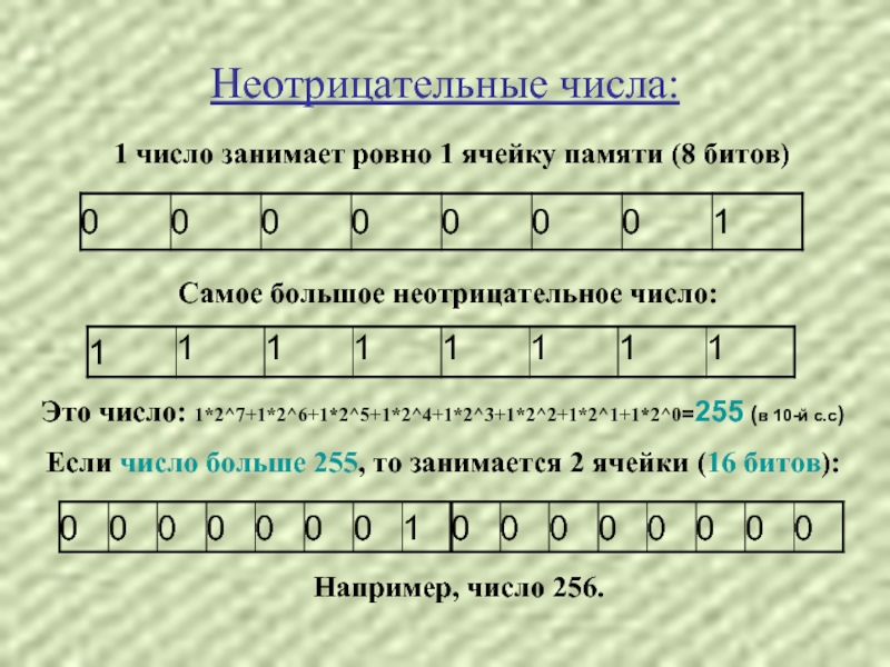 Функции целого неотрицательного числа. Как записать отрицательное число в 8 битную ячейку памяти. 0 Неотрицательное число. Запишите число -61 в 8-битную ячейку памяти.. Записать натуральные числа в 8-битную ячейку памяти 58.