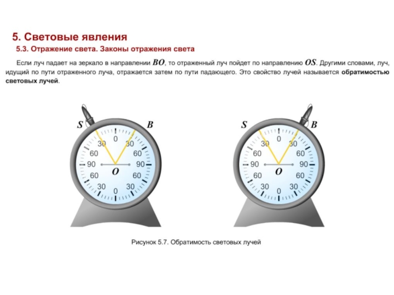 Отражение тема дня