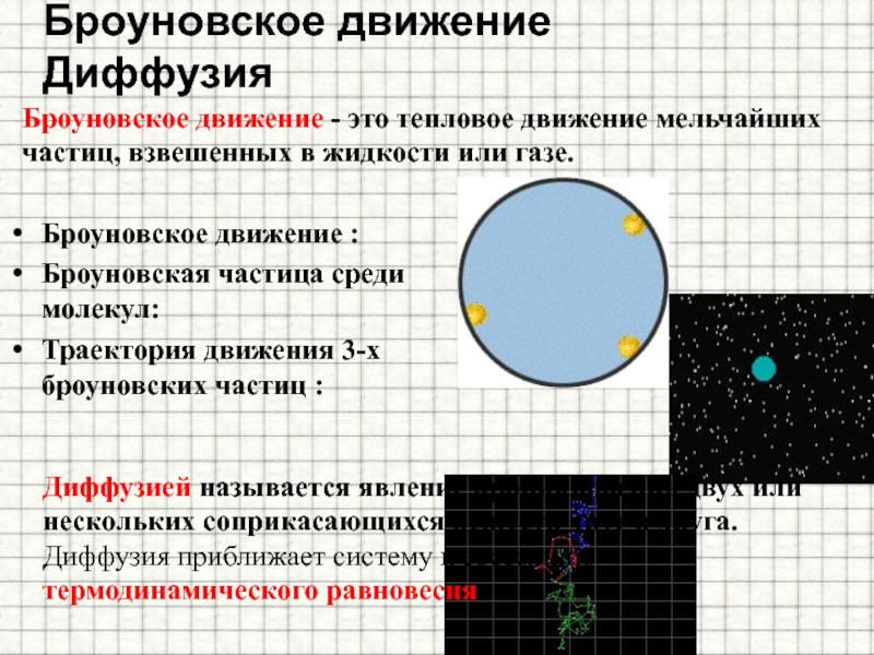 Броуновское движение презентация