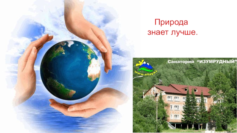 Природа знает лучше. Природа знает лучше закон. Природа знает лучше экология. Природа знает лучше примеры.