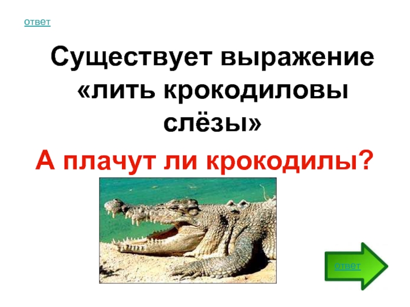 Существующий ответить. Крокодиловы слёзы. Выражение Крокодиловы слезы. Объясните выражение крокодильи слезы. Объясни выражение Крокодиловы слёзы.