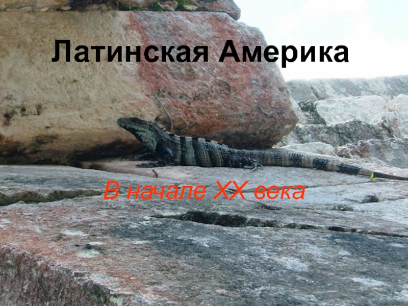 Латинская Америка