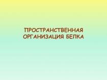ПЕРВИЧНАЯ СТРУКТУРА БЕЛКА