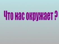 Что нас окружает ?