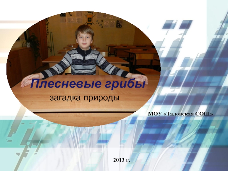 Плесневые грибызагадка природыМОУ «Таловская СОШ»2013 г.