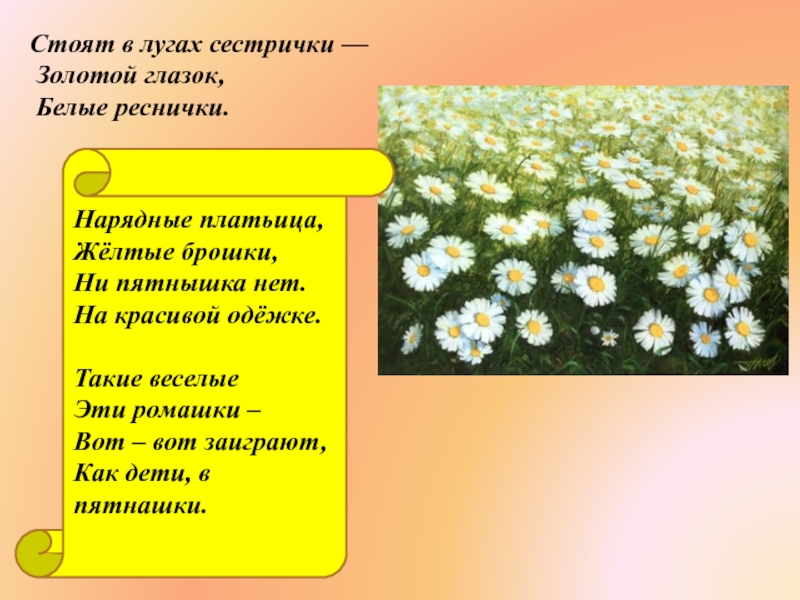 Загадка золотое донце. Нарядные платьица желтые брошки ни пятнышка нет на красивой. Стоят в лугах сестрички золотой глазок белые реснички. Загадка нарядные платьица желтые брошки ни пятнышка. Загадка нарядные платьица желтые.