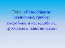 Разнообразие шляпочных грибов: съедобные и несъедобные, трубчатые и пластинчатые 1 класс