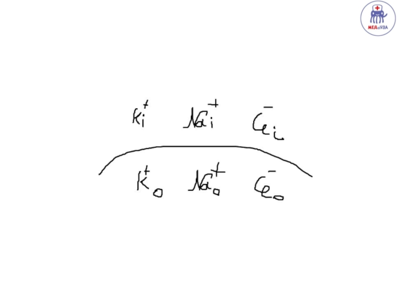 Что такое ОМХ и с чем это едят?