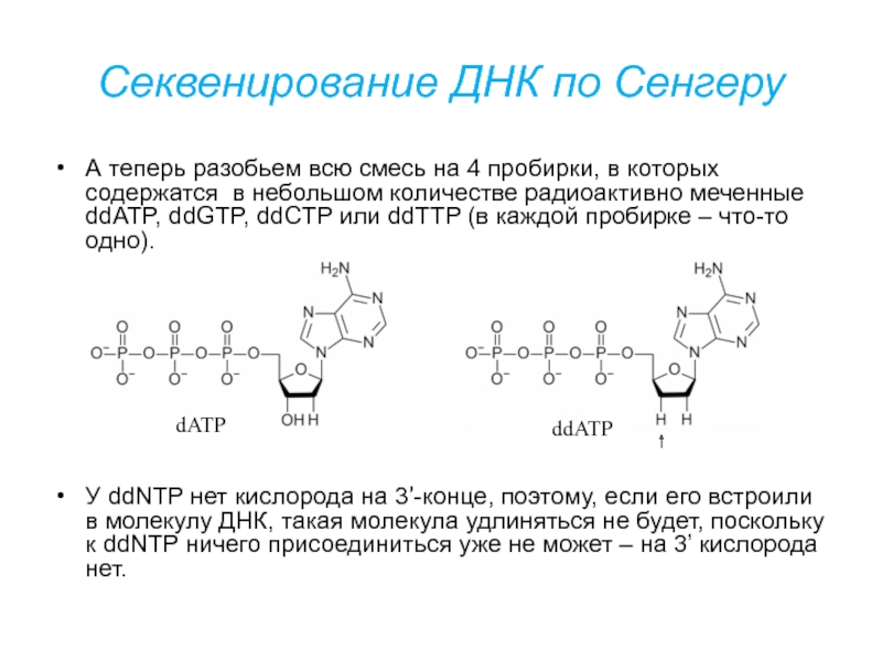 Секвенирование днк. Секвенирование по Сэнгеру принцип метода. Секвенирование белков по Сэнгеру. Секвенирование ДНК по Сэнгеру. Секвенирование по Сэнгеру этапы.