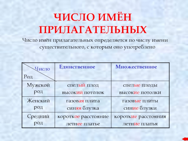 Род имен прилагательных 3 класс технологическая карта