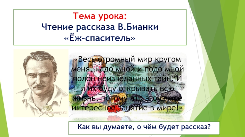 Еж спаситель основная мысль. Еж Спаситель Бианки презентация. Еж Спаситель Бианки. Бианки еж. Рассказ еж Спаситель.