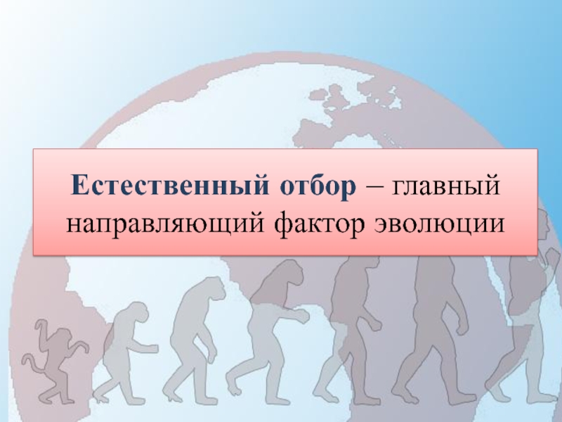 Естественный отбор направляющий фактор эволюции презентация 11 класс