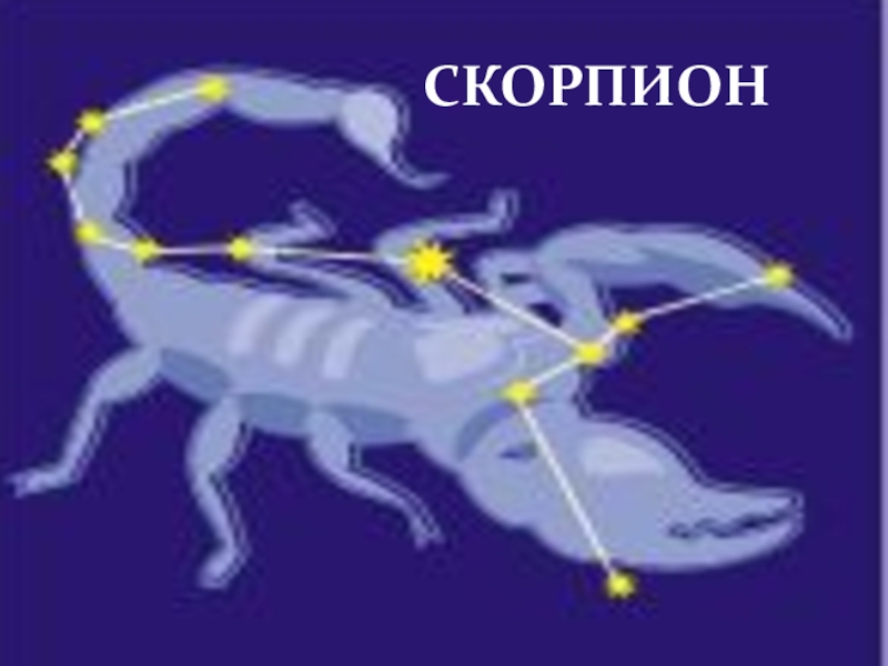 Скорпион стрелец козерог. Зодиакальное Созвездие Скорпион. Созвездия для детей. Изображения созвездий знаков зодиака. Созвездия для детей дошкольников.