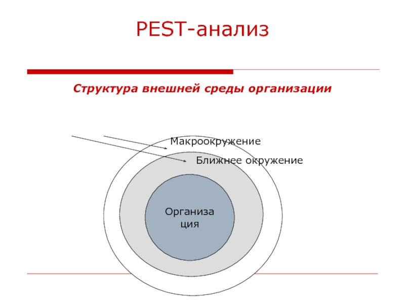 Ближняя среда организации