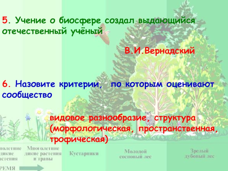 Экосистемный уровень 9 класс презентация - 81 фото