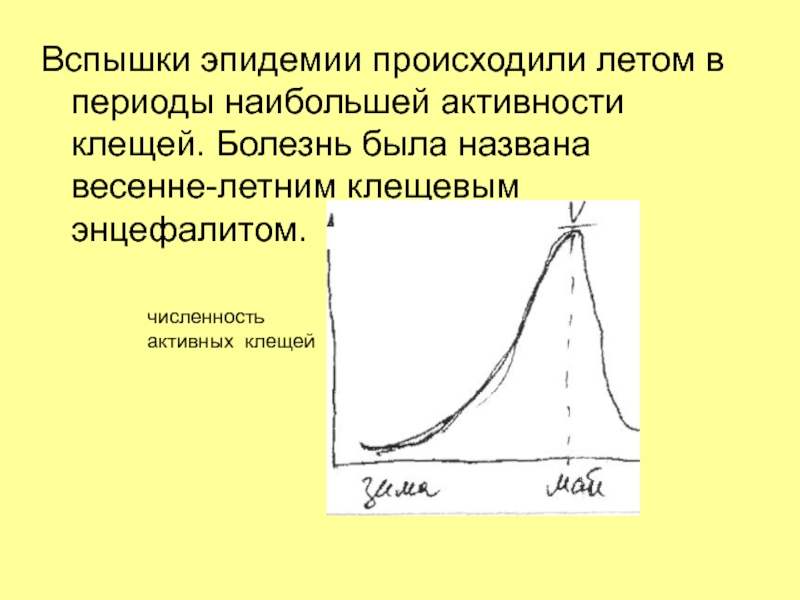 Наибольшая активность