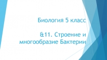 Биология 5 класс &11. Строение и многообразие Бактерии