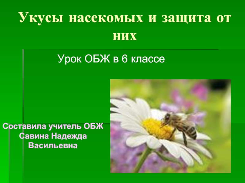 Презентация Укусы насекомых и защита от них