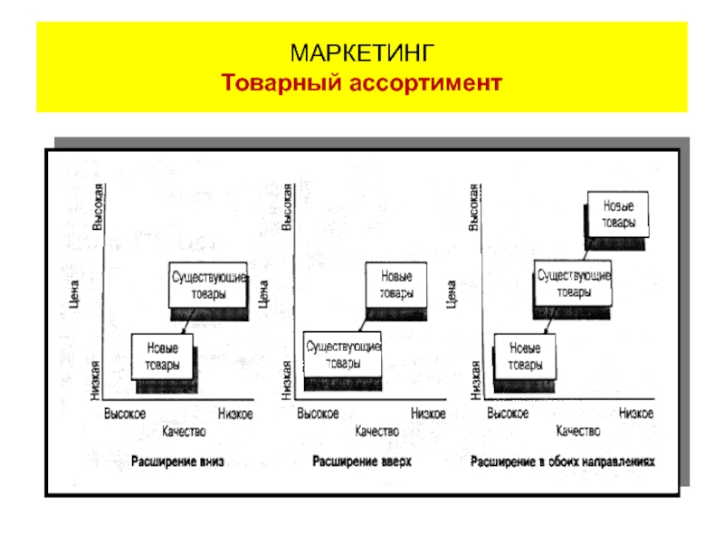 Товарный маркетинг. Ассортимент это в маркетинге. Товарный ассортимент в маркетинге. Виды ассортимента в маркетинге.