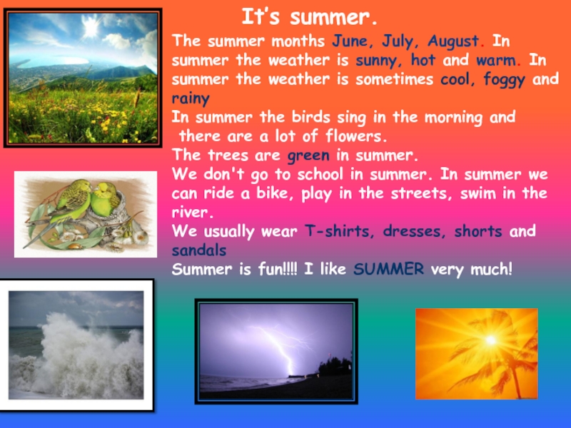 What is the weather like in summer. Weather in Summer. Предложение in the Summer.