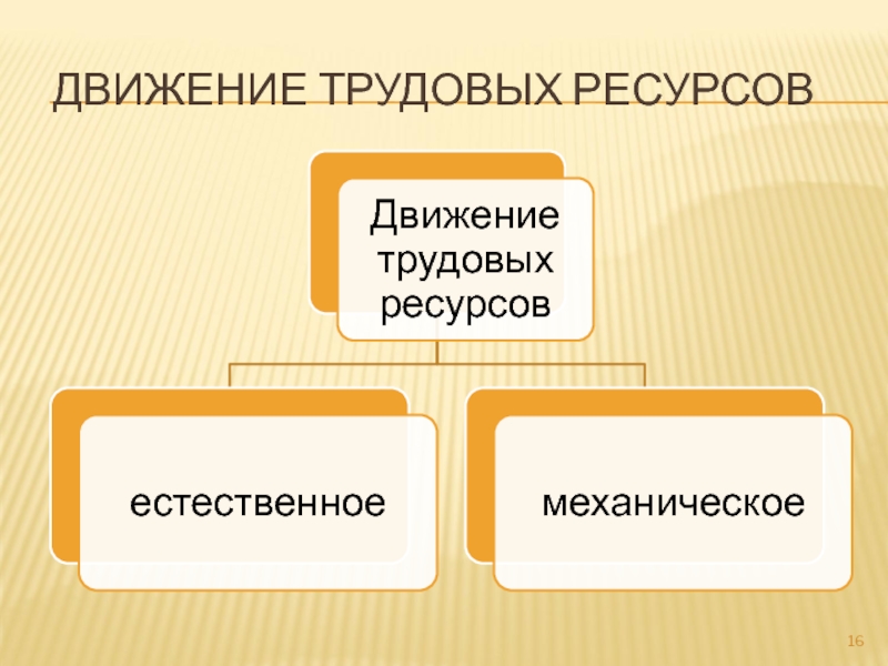 Социально экономическая статистика презентация