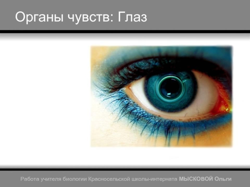 Презентация Органы чувств: Глаз