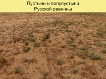 Пустыни и полупустыни
Русской равнины