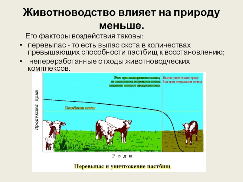 Факторы сельского хозяйства. Влияние животноводства на природу. Отрицательное влияние животноводства на природу. Влияние животноводства на человека. Факторы влияния животноводства на окружающую среду.