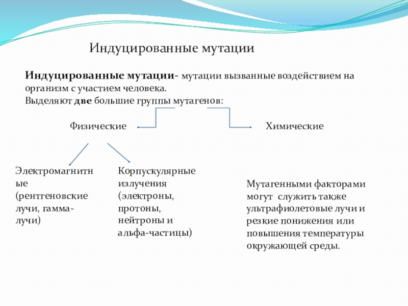 Влияние мутагенов на организм человека презентация