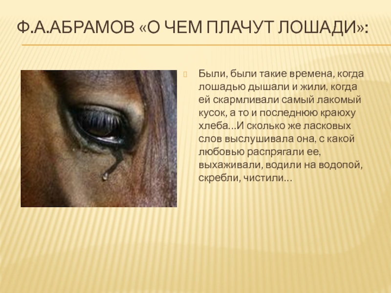 Читать рассказ о чем плачут лошади