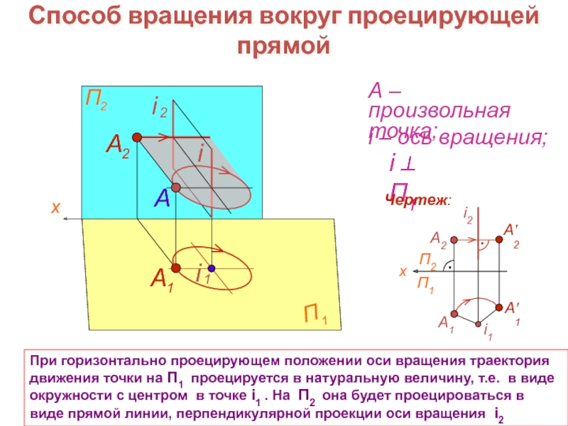 Проецировать. Сущность способа вращения вокруг проецирующей прямой. Метод вращения вокруг проецирующих линий. Вращение вокруг проецирующей прямой. Вращение вокруг проецирующих прямых.
